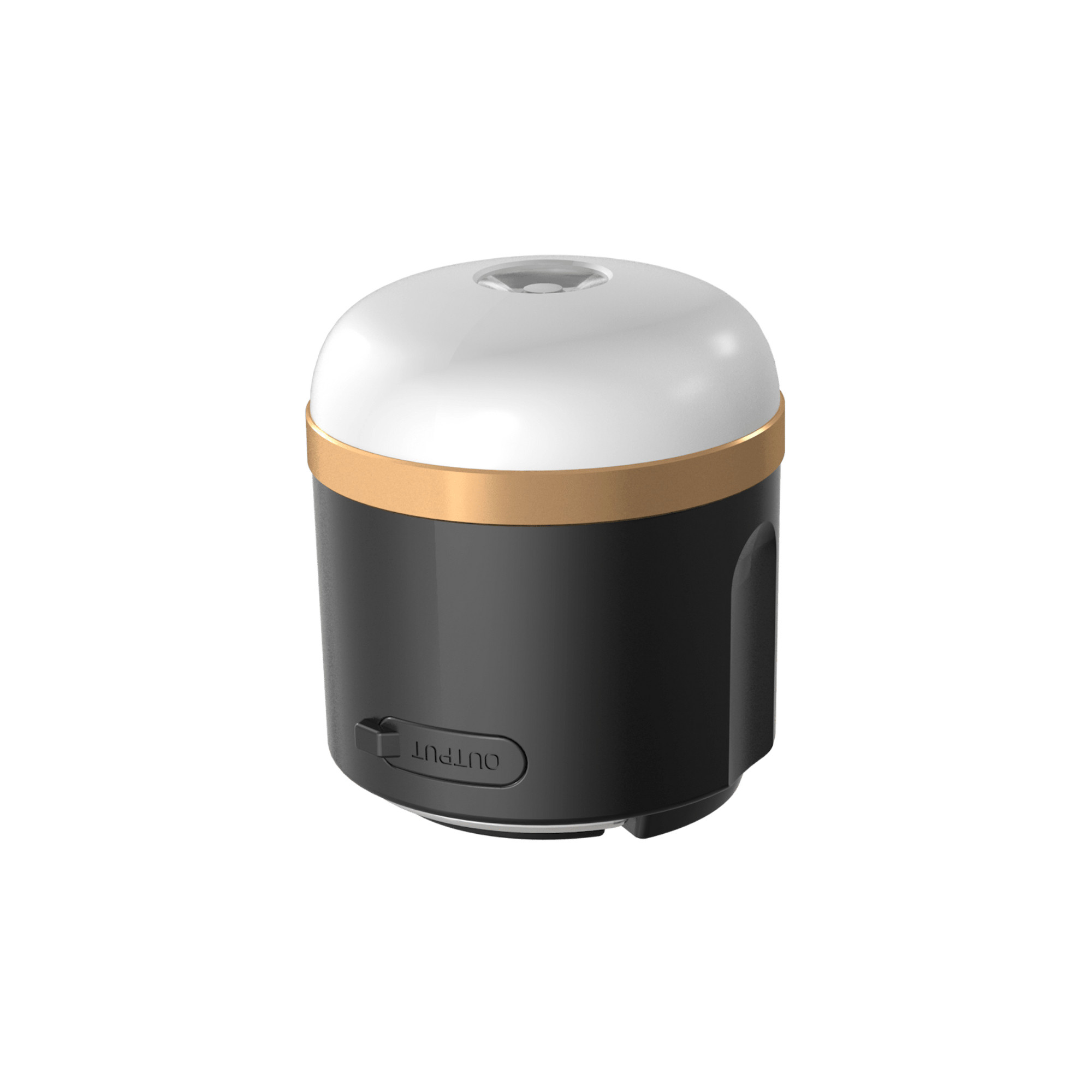 EcoFlow SCLI-B Lanterna da Campeggio a Batteria Porta USB Bianco Nero
