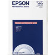 Epson Premium, DIN A3+, 250g/m² carta fotografica A3+ Bianco Lustre