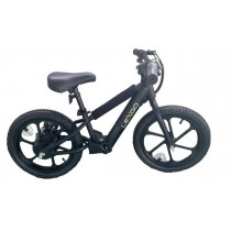 Lexgo E-Bike LXEFUN20BLK EFUN 20 LIMITED EDITION per Bambini 180W 5 2AH Nero Venduto come Grado A 6976423060041