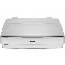 Epson Expression 13000XL Scanner piano 2400x4800 DPI A3 Bianco