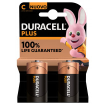 Duracell Plus 100 C Batteria monouso Alcalino