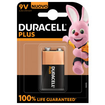 Duracell Plus 100 Batteria monouso Alcalino