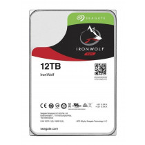 Seagate NAS HDD IronWolf 3.5 Pollici 12 TB Serial ATA III Hard Disk